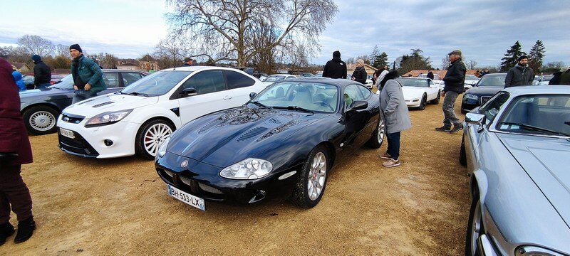 mini-Les Jaguar (4).jpg