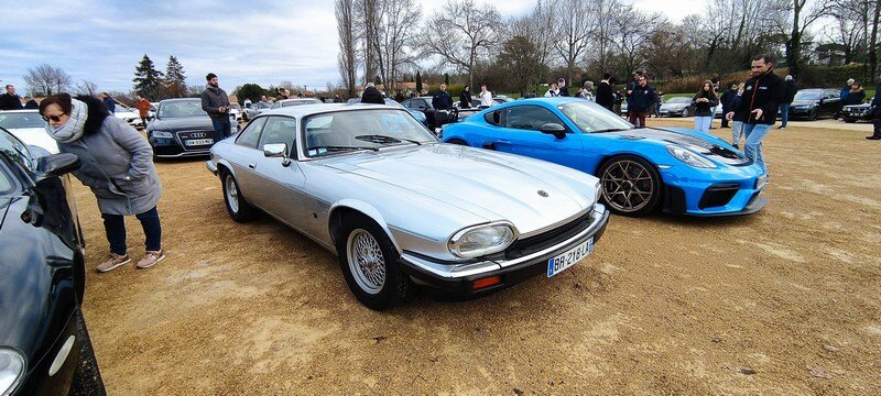 mini-Les Jaguar (5).jpg