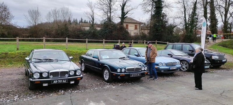 mini-Les Jaguar (9).jpg